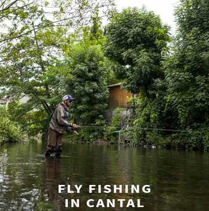 Fly fishing in Cantal